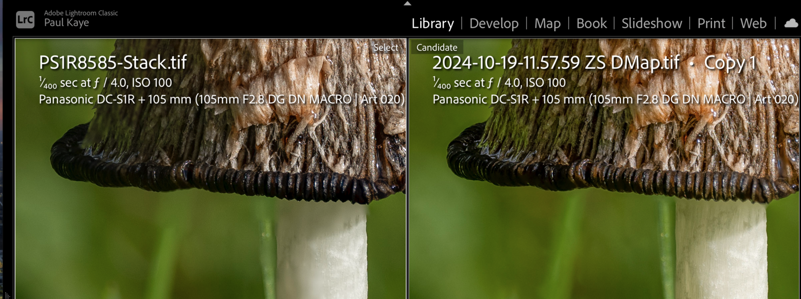 1729634835100.png 1729634835100.png