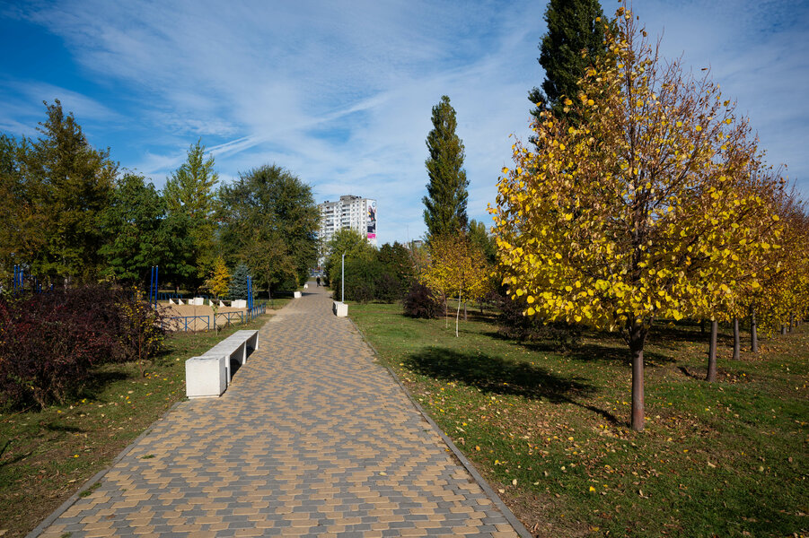 P1000381.jpg P1000381.jpg