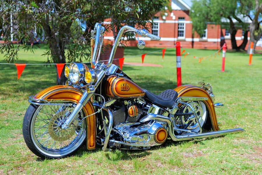 241027s-P1013931.jpg 241027s-P1013931.jpg