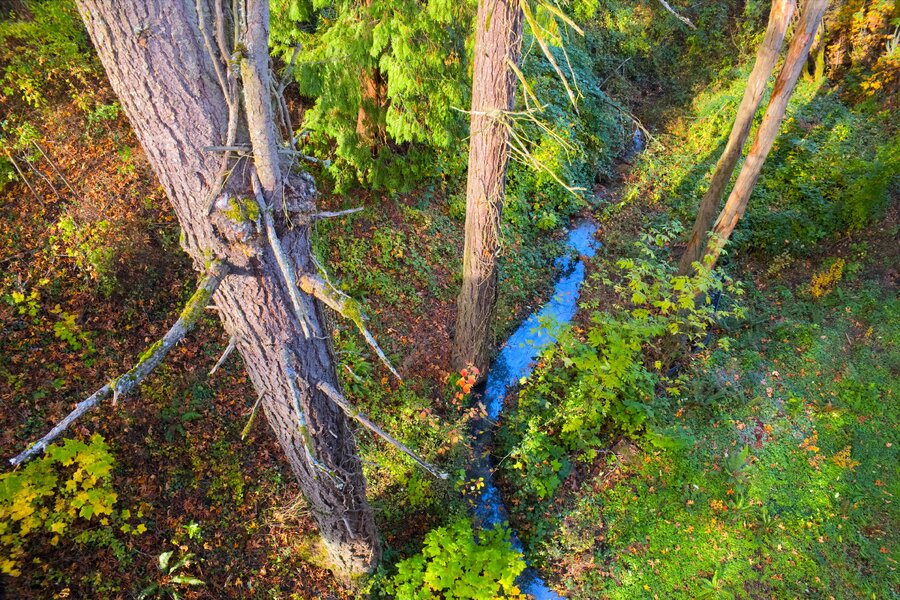 th1_pjd_fall-foliage-27a-pedestrian-bridge-creek-p1001275_h.jpg