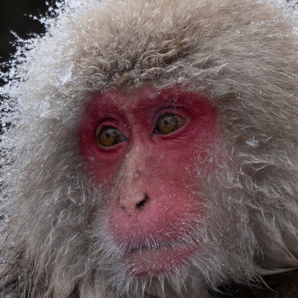 20240227-8383_1600.jpg 20240227-8383_1600.jpg