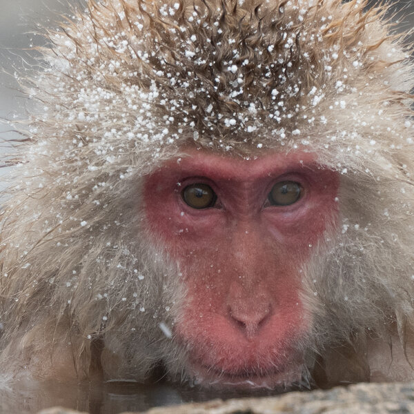 20240226-7673_1600.jpg 20240226-7673_1600.jpg