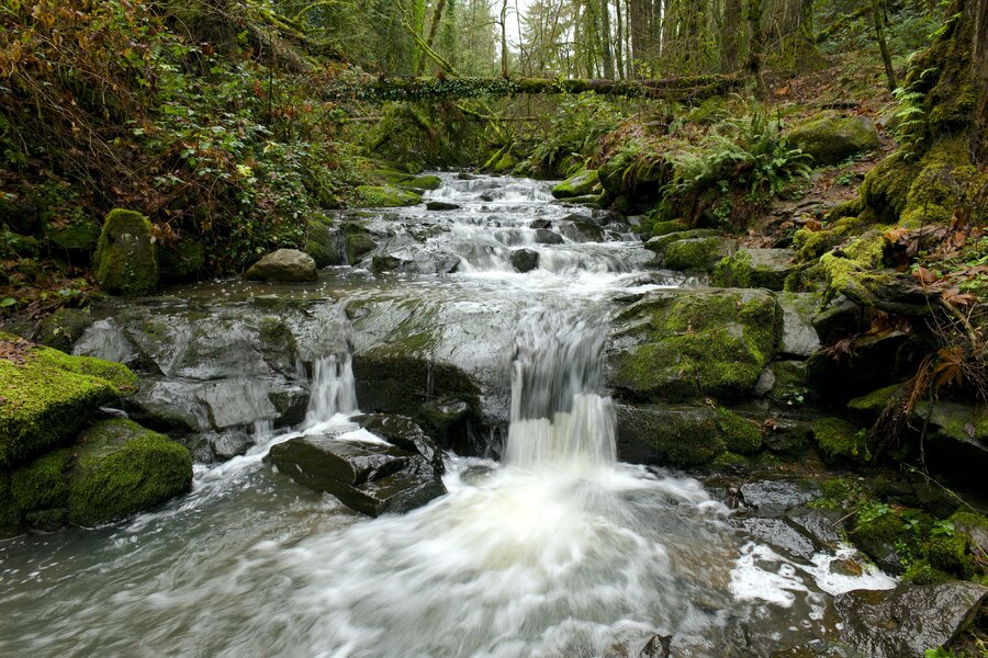 th5_pjd_marshall-park-cascade-waterfall-21-p1001853_h.jpg