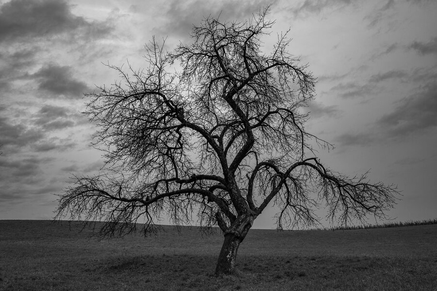 P1436987-4.jpg P1436987-4.jpg