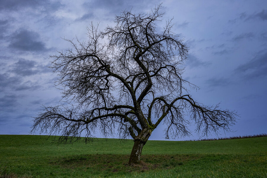 P1436989-2.jpg P1436989-2.jpg