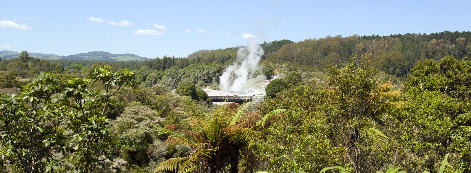 pjd-te-whakarewarewa-tangaoteopetauaawahiao-geyser-1-nz-131111-p1000584_h.jpg