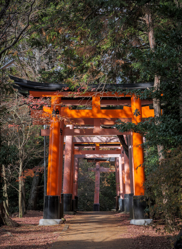 PS514956-HDR_1600.jpg PS514956-HDR_1600.jpg