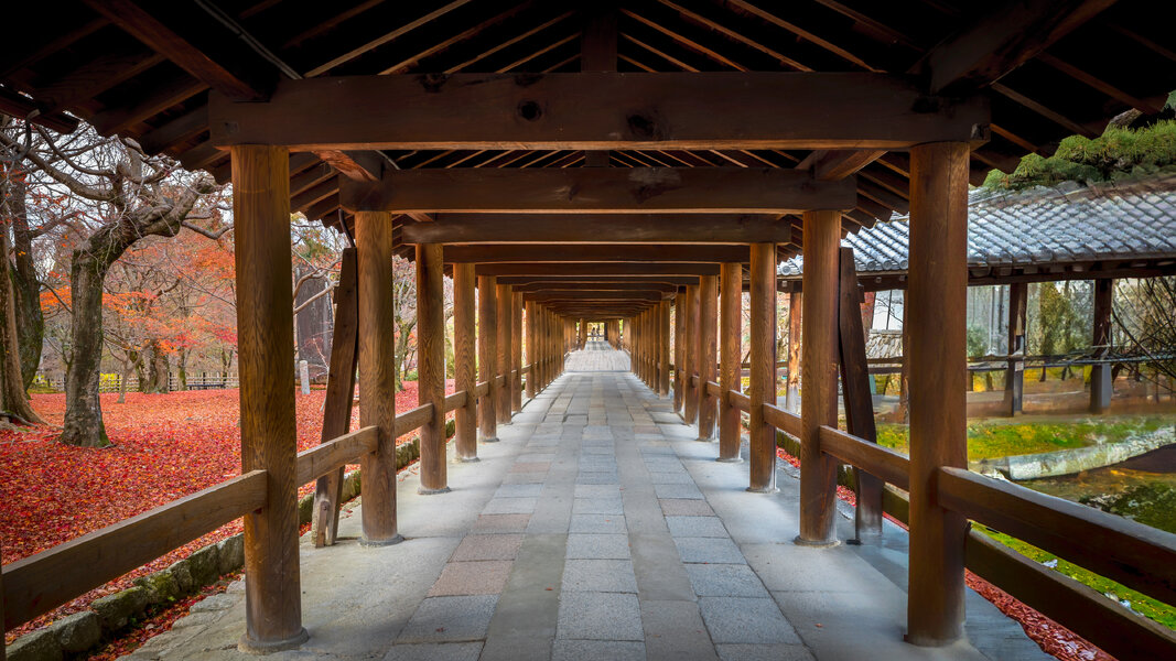 54221990756_ffa1aa4203_4k.jpg 54221990756_ffa1aa4203_4k.jpg