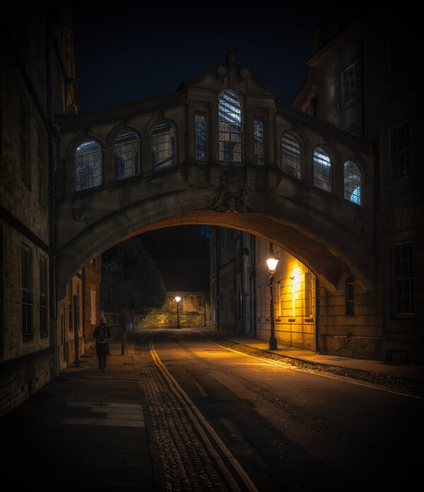 53491958079_d71345d47c_4k.jpg 53491958079_d71345d47c_4k.jpg