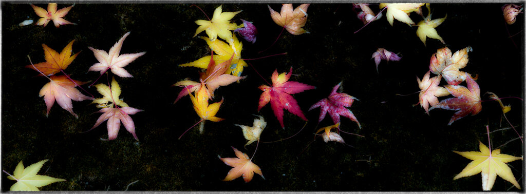 PS514136-Edit-2_1024.jpg PS514136-Edit-2_1024.jpg