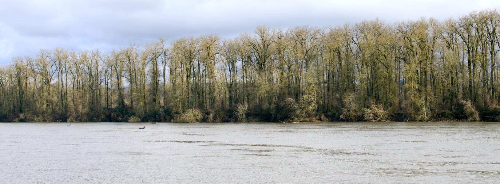 pjd-3-kayakers-ross-island-willamette-river-portland-oregon-241230-p1001893_h.jpg