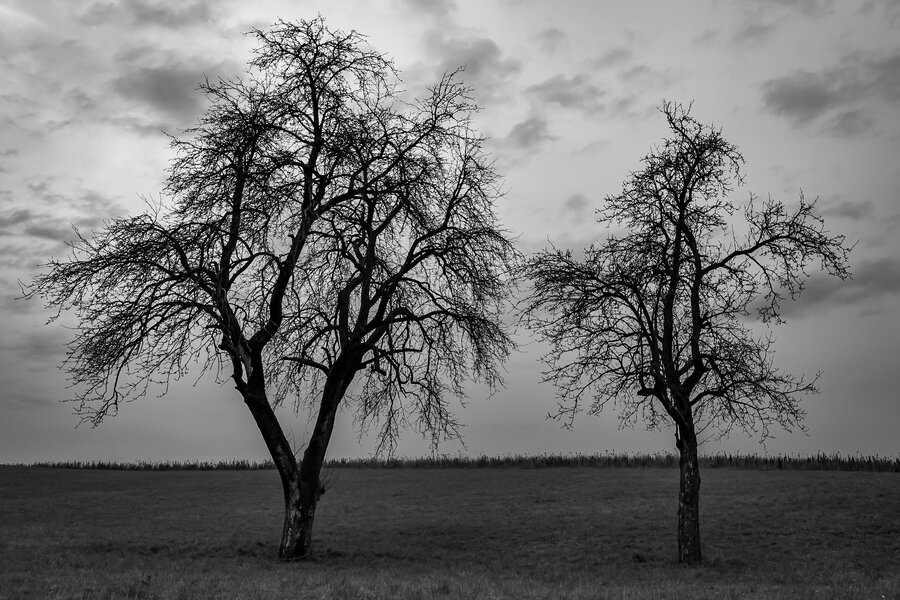 P1436984.jpg P1436984.jpg