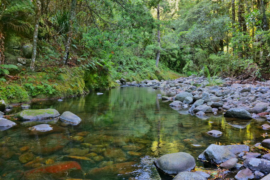 250108s-P1014836.jpg 250108s-P1014836.jpg