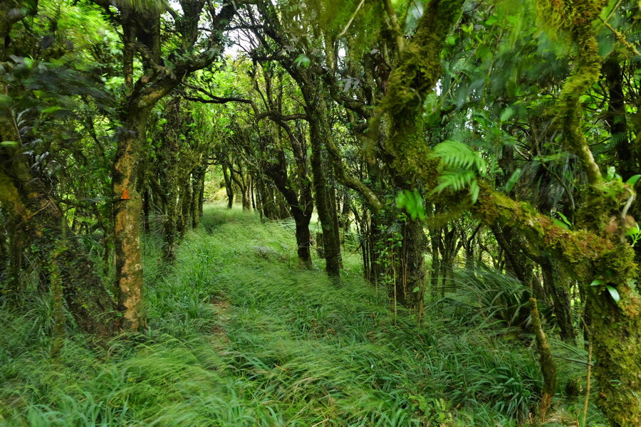 250108s-P1014892.jpg 250108s-P1014892.jpg