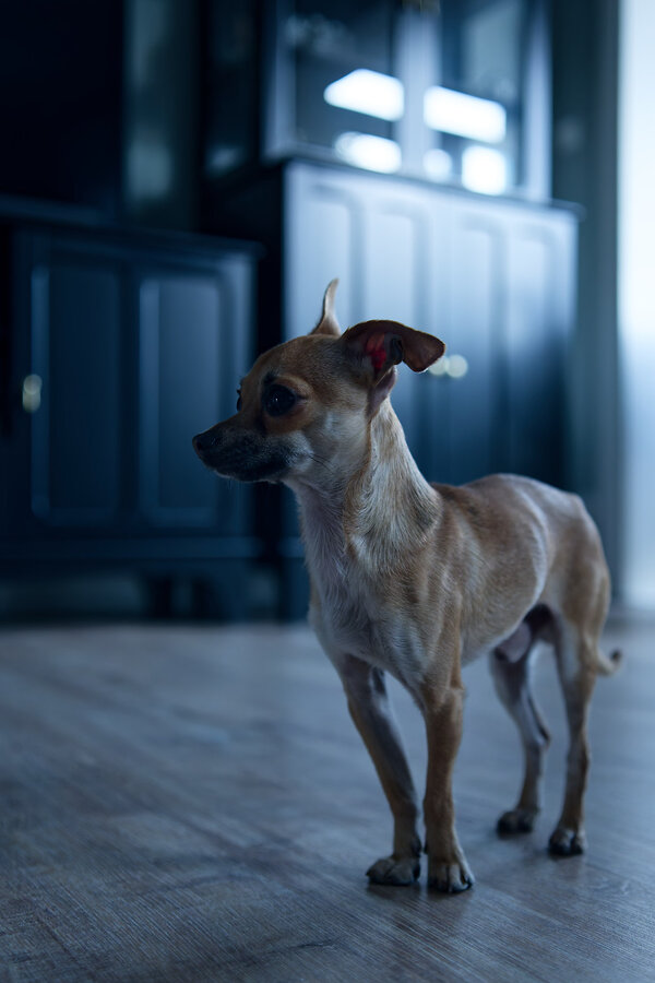 P1001685_Nik_kl.jpeg P1001685_Nik_kl.jpeg