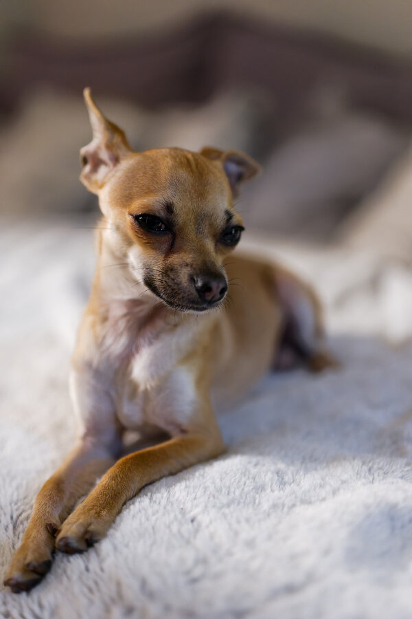 P1001986_kl.jpeg P1001986_kl.jpeg