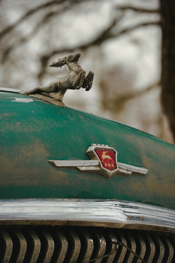 P1091050r.jpg P1091050r.jpg