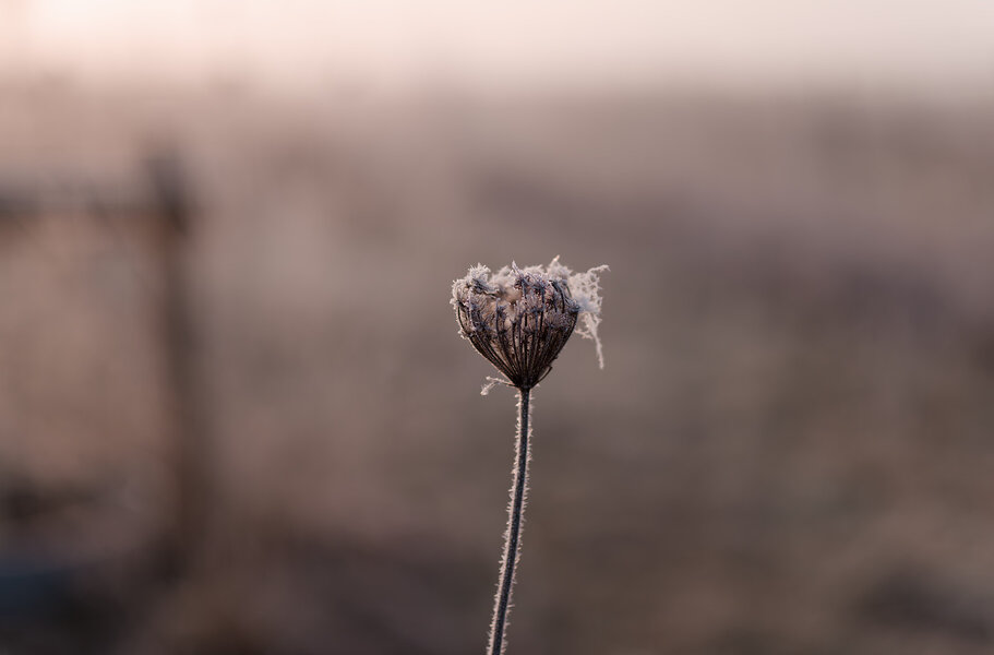 P1002116_kl.jpeg P1002116_kl.jpeg