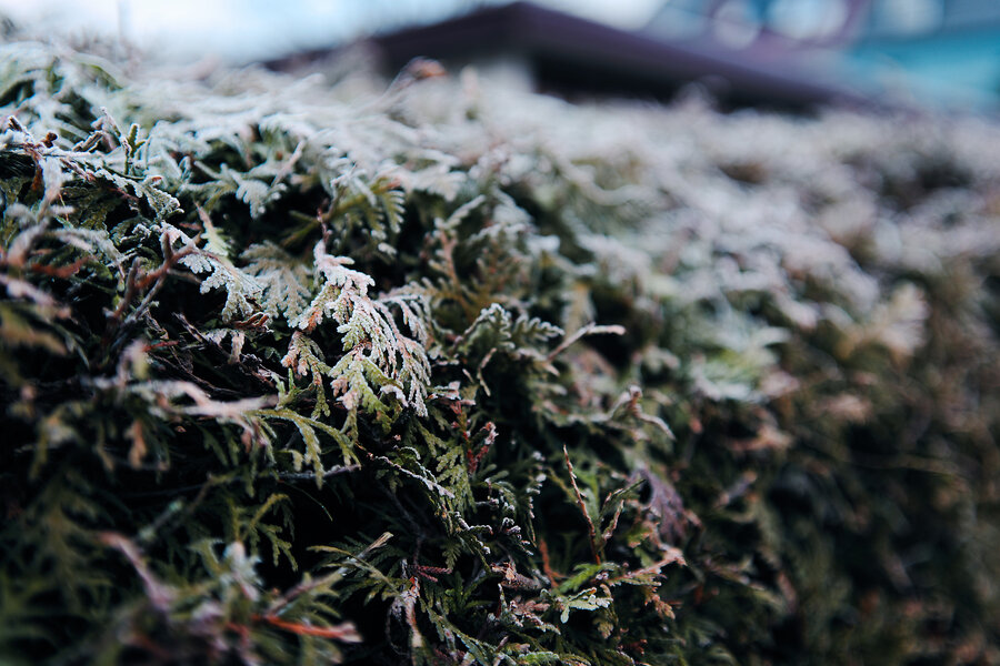 P1002071_kl.jpeg P1002071_kl.jpeg