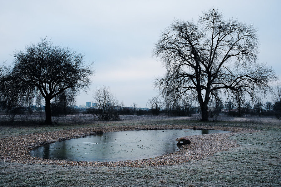 P1002082_kl.jpeg P1002082_kl.jpeg