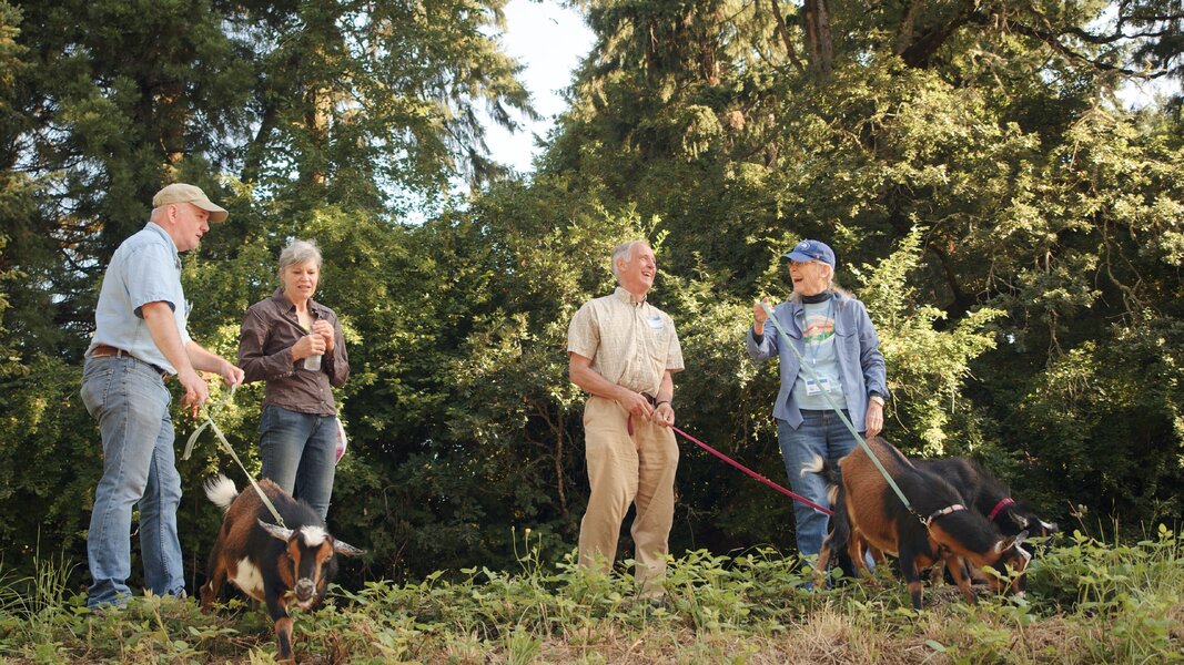 210724_pjd_fot-goats-p4k-a001_07240826_c014-60fps-braw_h.jpg 210724_pjd_fot-goats-p4k-a001_07240826_c014-60fps-braw_h.jpg