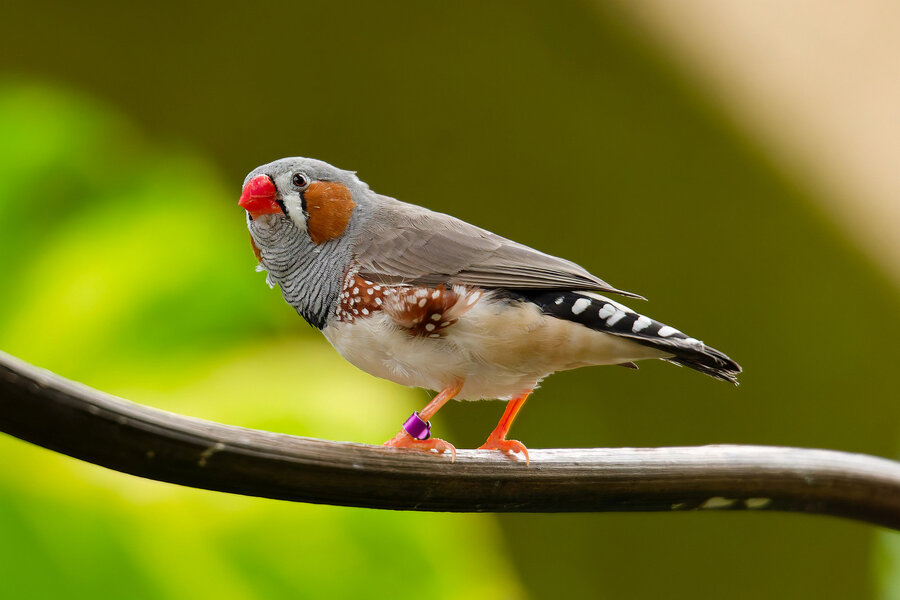 PS5_4676_Dx0.jpg PS5_4676_Dx0.jpg