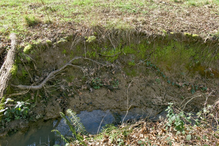 pjd_creek-erosion-250210-p1001553_h.jpg