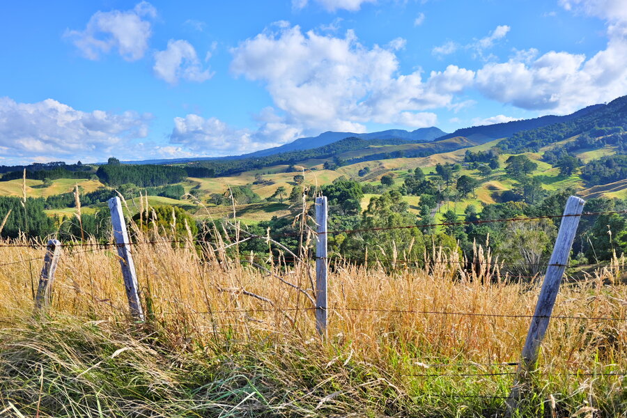 250105s-P1014821.jpg 250105s-P1014821.jpg