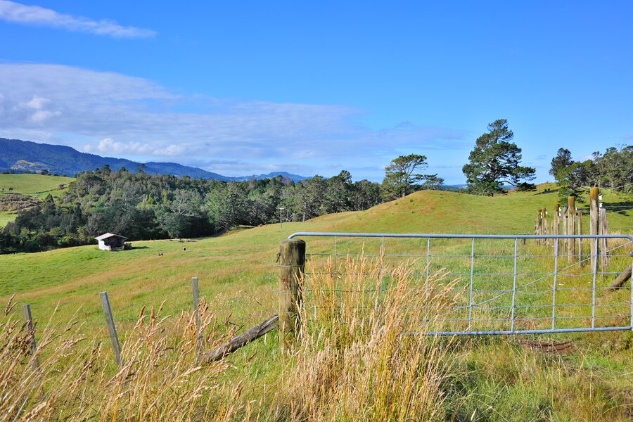 250105s-P1014825.jpg 250105s-P1014825.jpg