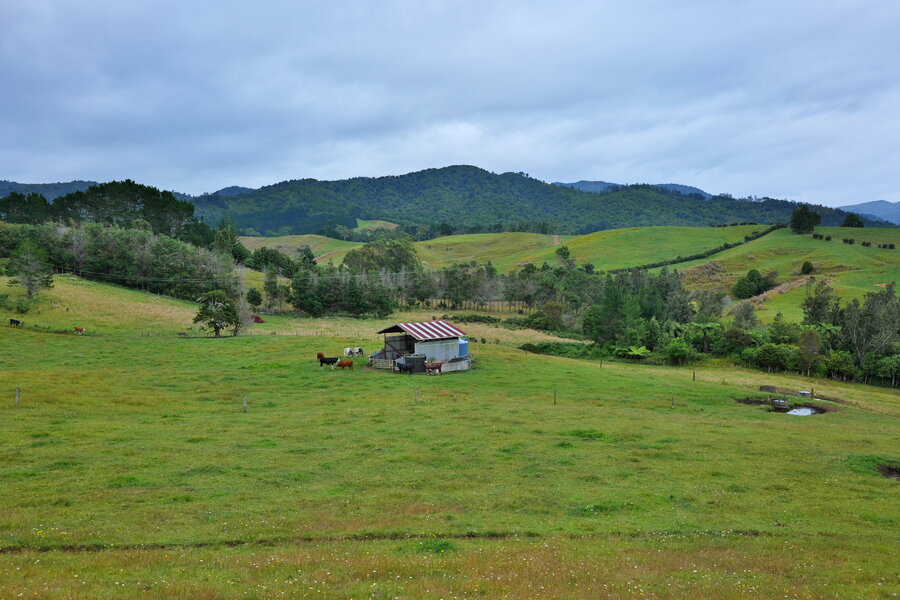 250105s-P1014792.jpg 250105s-P1014792.jpg