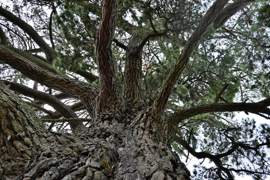 250105s-P1014811.jpg 250105s-P1014811.jpg