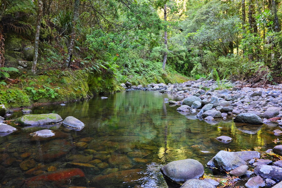 54373507662_ea9eb217c5_h.jpg 54373507662_ea9eb217c5_h.jpg