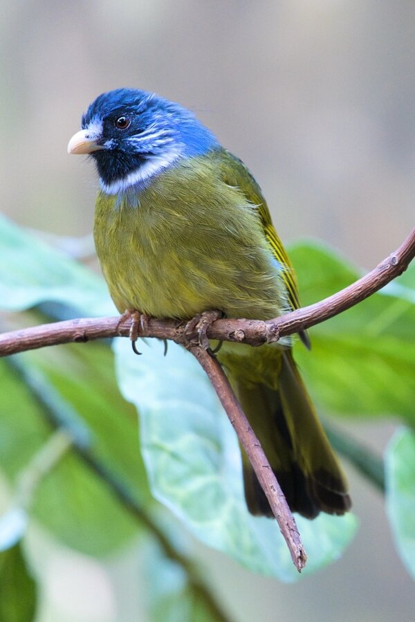 pejb7103.jpg pejb7103.jpg